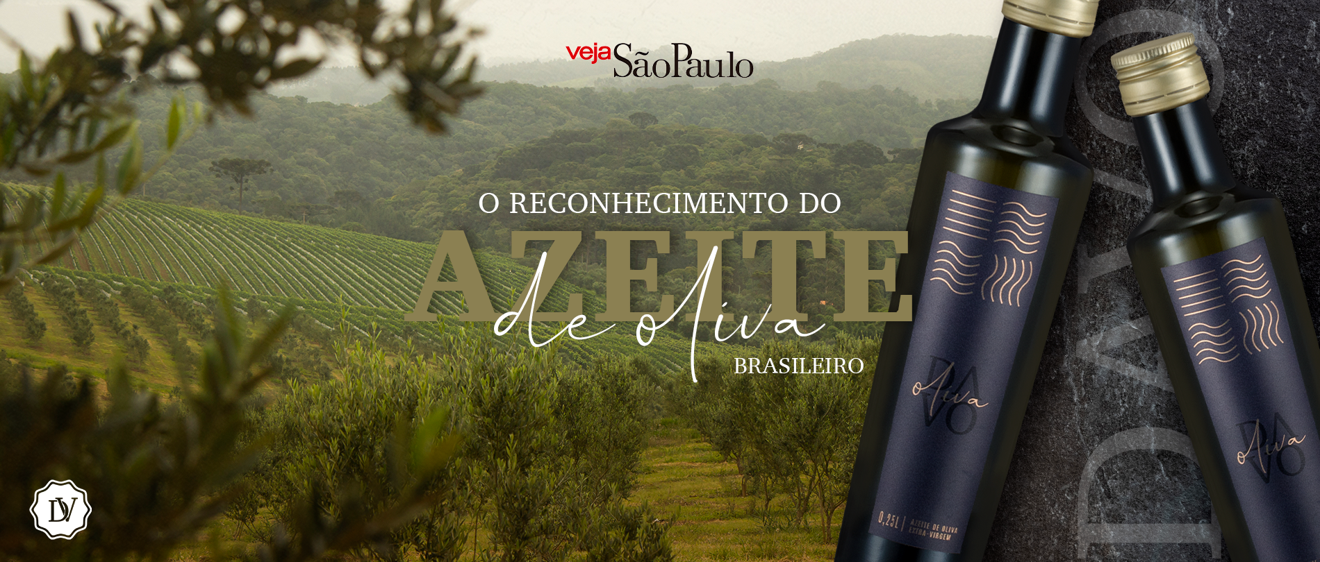 O reconhecimento do azeite de oliva brasileiro